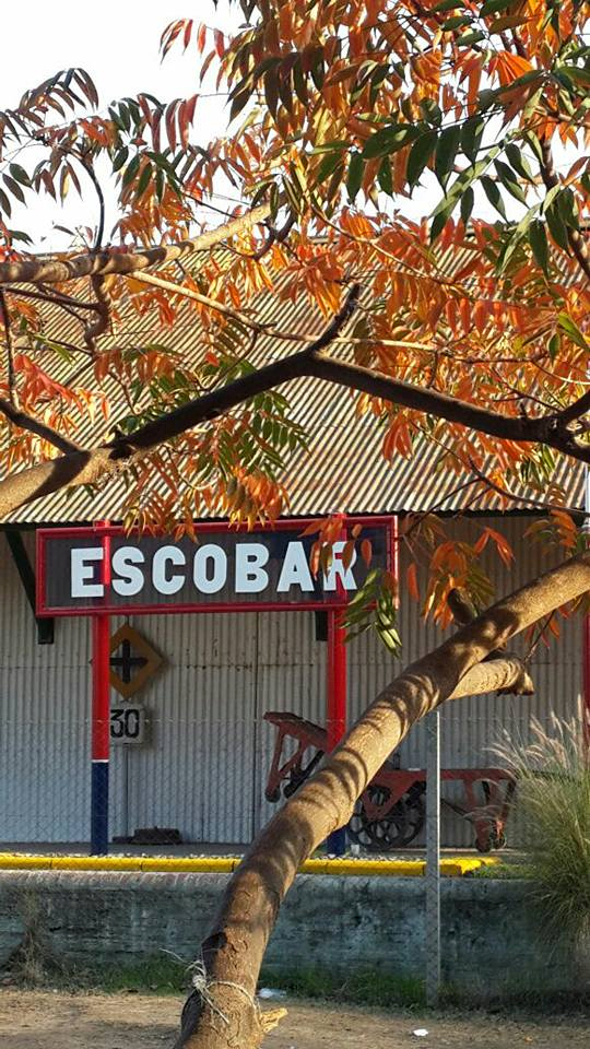 Ferroamigos Club Escobar, is a museum and Argentinian model railroading club in Escobar, Argentina. Learn more about Argentina Ferroamigos Club in Escobar and see what Ferroamigos Club in Escobar has to offer in model trains in Argentina, So visit Argentina Ferroamigos Club in Escobar At www.krafttrains.com.
Ferroamigos Club Escobar, es un museo y club ferroviario modelo argentino en Escobar, Argentina. Conozca más sobre Argentina Ferroamigos Club en Escobar y vea lo que Ferroamigos Club en Escobar tiene para ofrecer en modelos de trenes en Argentina, así que visite Argentina Ferroamigos Club en Escobar En www.krafttrains.com.
