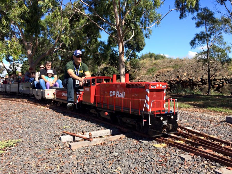 The Altona Miniature Railway (AMR) is a hobby club run by members that provide miniature train rides on scaled steam and diesel engines (5″ and 7 1/4″ gauge), over our 1.5 km length track in Altona Australia. Membership with Altona Miniature Railway is available to anyone who is interested in trains, scale model railroading, engineering, gardening or being involved in the local community. Altona Miniature Railway is a family friendly club that welcomes new members and their families. 