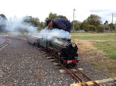 The Altona Miniature Railway (AMR) is a hobby club run by members that provide miniature train rides on scaled steam and diesel engines (5″ and 7 1/4″ gauge), over our 1.5 km length track in Altona Australia. Membership with Altona Miniature Railway is available to anyone who is interested in trains, scale model railroading, engineering, gardening or being involved in the local community. Altona Miniature Railway is a family friendly club that welcomes new members and their families.