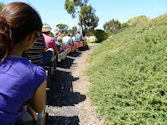 The Altona Miniature Railway (AMR) is a hobby club run by members that provide miniature train rides on scaled steam and diesel engines (5″ and 7 1/4″ gauge), over our 1.5 km length track in Altona Australia. Membership with Altona Miniature Railway is available to anyone who is interested in trains, scale model railroading, engineering, gardening or being involved in the local community. Altona Miniature Railway is a family friendly club that welcomes new members and their families.