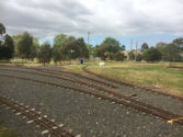 The Altona Miniature Railway (AMR) is a hobby club run by members that provide miniature train rides on scaled steam and diesel engines (5″ and 7 1/4″ gauge), over our 1.5 km length track in Altona Australia. Membership with Altona Miniature Railway is available to anyone who is interested in trains, scale model railroading, engineering, gardening or being involved in the local community. Altona Miniature Railway is a family friendly club that welcomes new members and their families.