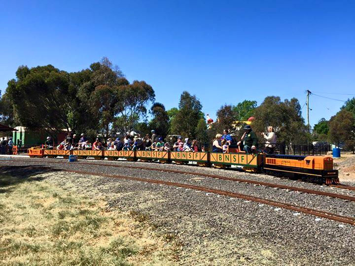 The Altona Miniature Railway (AMR) is a hobby club run by members that provide miniature train rides on scaled steam and diesel engines (5″ and 7 1/4″ gauge), over our 1.5 km length track in Altona Australia. Membership with Altona Miniature Railway is available to anyone who is interested in trains, scale model railroading, engineering, gardening or being involved in the local community. Altona Miniature Railway is a family friendly club that welcomes new members and their families. 