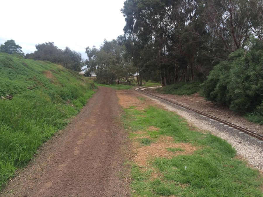 The Altona Miniature Railway (AMR) is a hobby club run by members that provide miniature train rides on scaled steam and diesel engines (5″ and 7 1/4″ gauge), over our 1.5 km length track in Altona Australia. Membership with Altona Miniature Railway is available to anyone who is interested in trains, scale model railroading, engineering, gardening or being involved in the local community. Altona Miniature Railway is a family friendly club that welcomes new members and their families. 