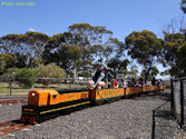 The Altona Miniature Railway (AMR) is a hobby club run by members that provide miniature train rides on scaled steam and diesel engines (5″ and 7 1/4″ gauge), over our 1.5 km length track in Altona Australia. Membership with Altona Miniature Railway is available to anyone who is interested in trains, scale model railroading, engineering, gardening or being involved in the local community. Altona Miniature Railway is a family friendly club that welcomes new members and their families.