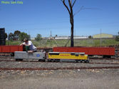 The Altona Miniature Railway (AMR) is a hobby club run by members that provide miniature train rides on scaled steam and diesel engines (5″ and 7 1/4″ gauge), over our 1.5 km length track in Altona Australia. Membership with Altona Miniature Railway is available to anyone who is interested in trains, scale model railroading, engineering, gardening or being involved in the local community. Altona Miniature Railway is a family friendly club that welcomes new members and their families.