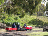 The Altona Miniature Railway (AMR) is a hobby club run by members that provide miniature train rides on scaled steam and diesel engines (5″ and 7 1/4″ gauge), over our 1.5 km length track in Altona Australia. Membership with Altona Miniature Railway is available to anyone who is interested in trains, scale model railroading, engineering, gardening or being involved in the local community. Altona Miniature Railway is a family friendly club that welcomes new members and their families.