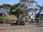 The Altona Miniature Railway (AMR) is a hobby club run by members that provide miniature train rides on scaled steam and diesel engines (5″ and 7 1/4″ gauge), over our 1.5 km length track in Altona Australia. Membership with Altona Miniature Railway is available to anyone who is interested in trains, scale model railroading, engineering, gardening or being involved in the local community. Altona Miniature Railway is a family friendly club that welcomes new members and their families.