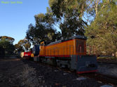 The Altona Miniature Railway (AMR) is a hobby club run by members that provide miniature train rides on scaled steam and diesel engines (5″ and 7 1/4″ gauge), over our 1.5 km length track in Altona Australia. Membership with Altona Miniature Railway is available to anyone who is interested in trains, scale model railroading, engineering, gardening or being involved in the local community. Altona Miniature Railway is a family friendly club that welcomes new members and their families.