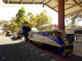 The Altona Miniature Railway (AMR) is a hobby club run by members that provide miniature train rides on scaled steam and diesel engines (5″ and 7 1/4″ gauge), over our 1.5 km length track in Altona Australia. Membership with Altona Miniature Railway is available to anyone who is interested in trains, scale model railroading, engineering, gardening or being involved in the local community. Altona Miniature Railway is a family friendly club that welcomes new members and their families.