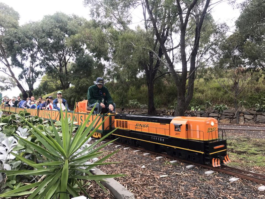 The Altona Miniature Railway (AMR) is a hobby club run by members that provide miniature train rides on scaled steam and diesel engines (5″ and 7 1/4″ gauge), over our 1.5 km length track in Altona Australia. Membership with Altona Miniature Railway is available to anyone who is interested in trains, scale model railroading, engineering, gardening or being involved in the local community. Altona Miniature Railway is a family friendly club that welcomes new members and their families. 