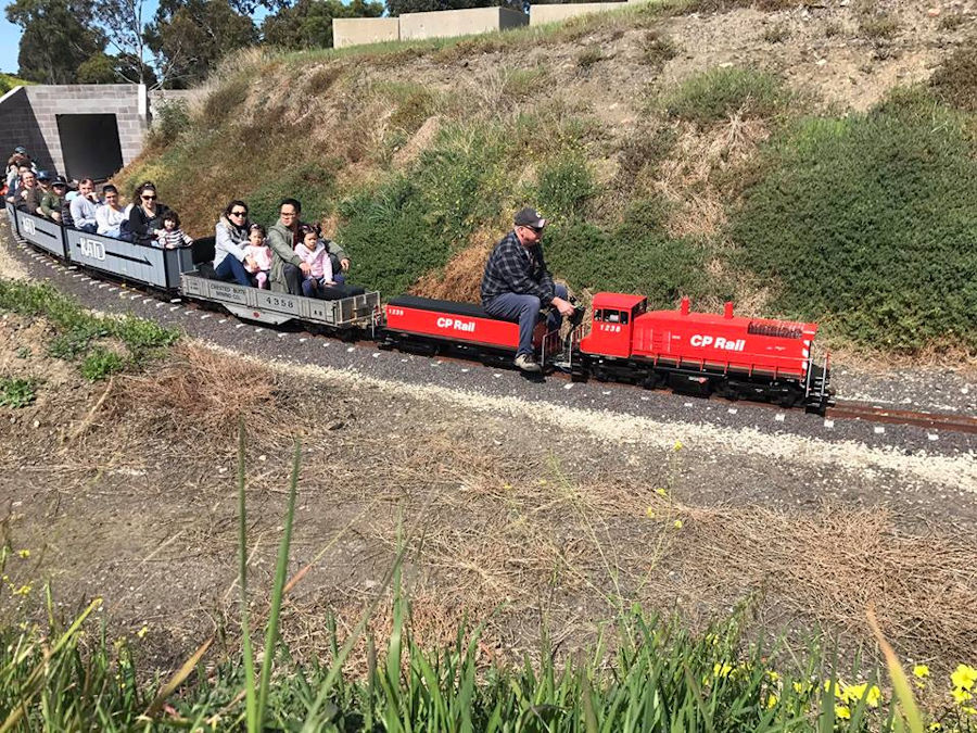 The Altona Miniature Railway (AMR) is a hobby club run by members that provide miniature train rides on scaled steam and diesel engines (5″ and 7 1/4″ gauge), over our 1.5 km length track in Altona Australia. Membership with Altona Miniature Railway is available to anyone who is interested in trains, scale model railroading, engineering, gardening or being involved in the local community. Altona Miniature Railway is a family friendly club that welcomes new members and their families. 