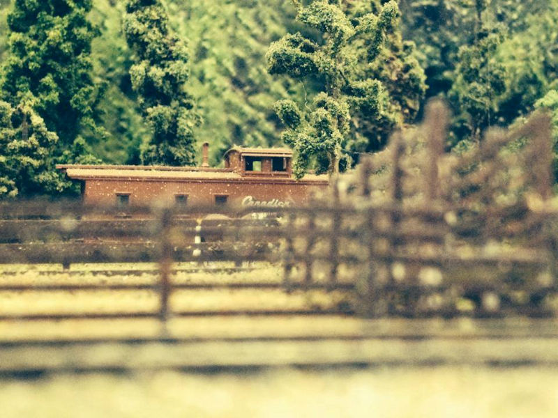 See Photos of the Delta Model Railway Club Near Vancouver Canada at www.krafttrains.com. See Photos of the Delta Model Railway Club has to offer in model railroading. The Delta Model Railway Club has a lot for you to see. Learn all about the Delta Model Railway Club Near Vancouver Canada from model railroading club history to, pitchers, videos, events, and more.