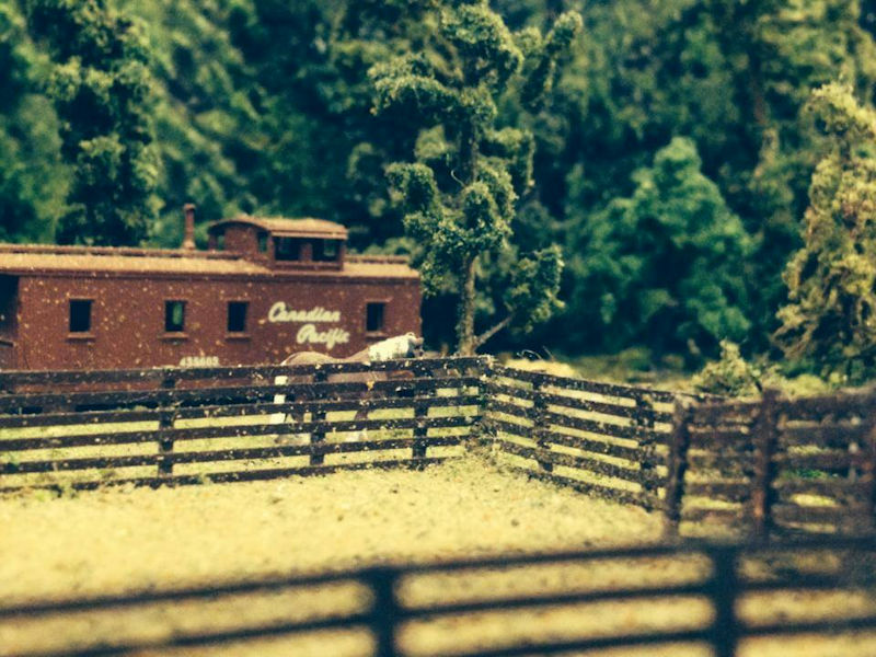 See Photos of the Delta Model Railway Club Near Vancouver Canada at www.krafttrains.com. See Photos of the Delta Model Railway Club has to offer in model railroading. The Delta Model Railway Club has a lot for you to see. Learn all about the Delta Model Railway Club Near Vancouver Canada from model railroading club history to, pitchers, videos, events, and more.