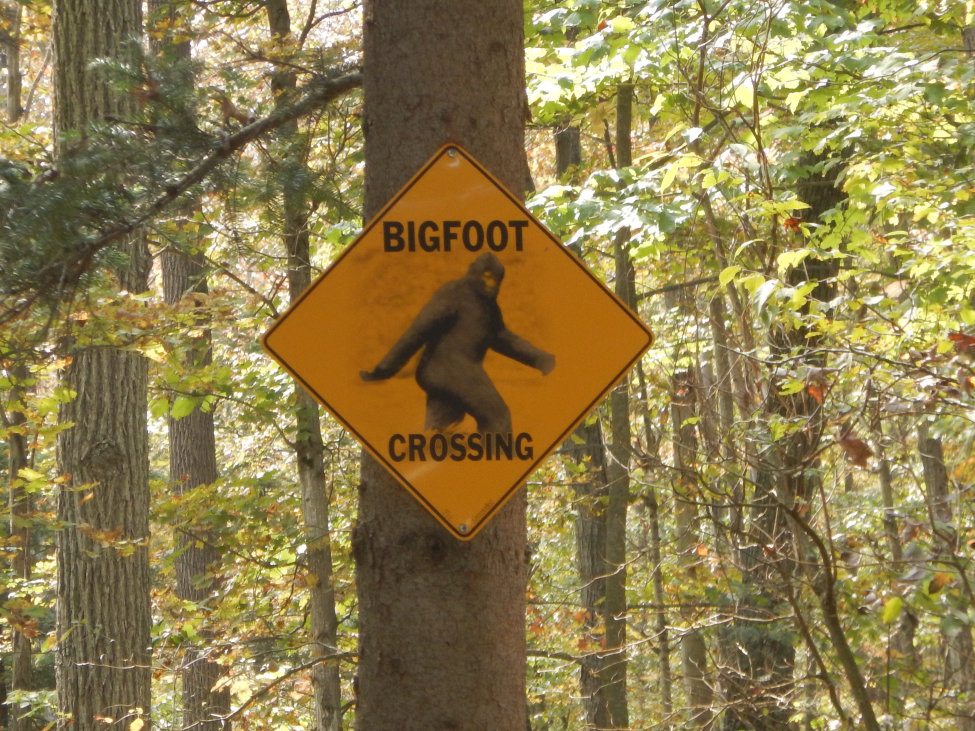 Ontario the Halton County Radial Railway (HCRR) is a full-size operating electric railway and museum, featuring historic electric railcars operating on two kilometers of scenic track. The HCRR is owned and operated by the Ontario Electric Railway Historical Association (OERHA), a non-profit, educational organization. The HCRR is proud to be Ontario’s first and largest electric railway museum.
The OERHA is made up of active members who volunteer to maintain, restore and operate the museum for its many visitors throughout the year. New members are always welcome at the HCRR, and there are many ways to lend a hand. For more trains go to www.krafttrains.com
