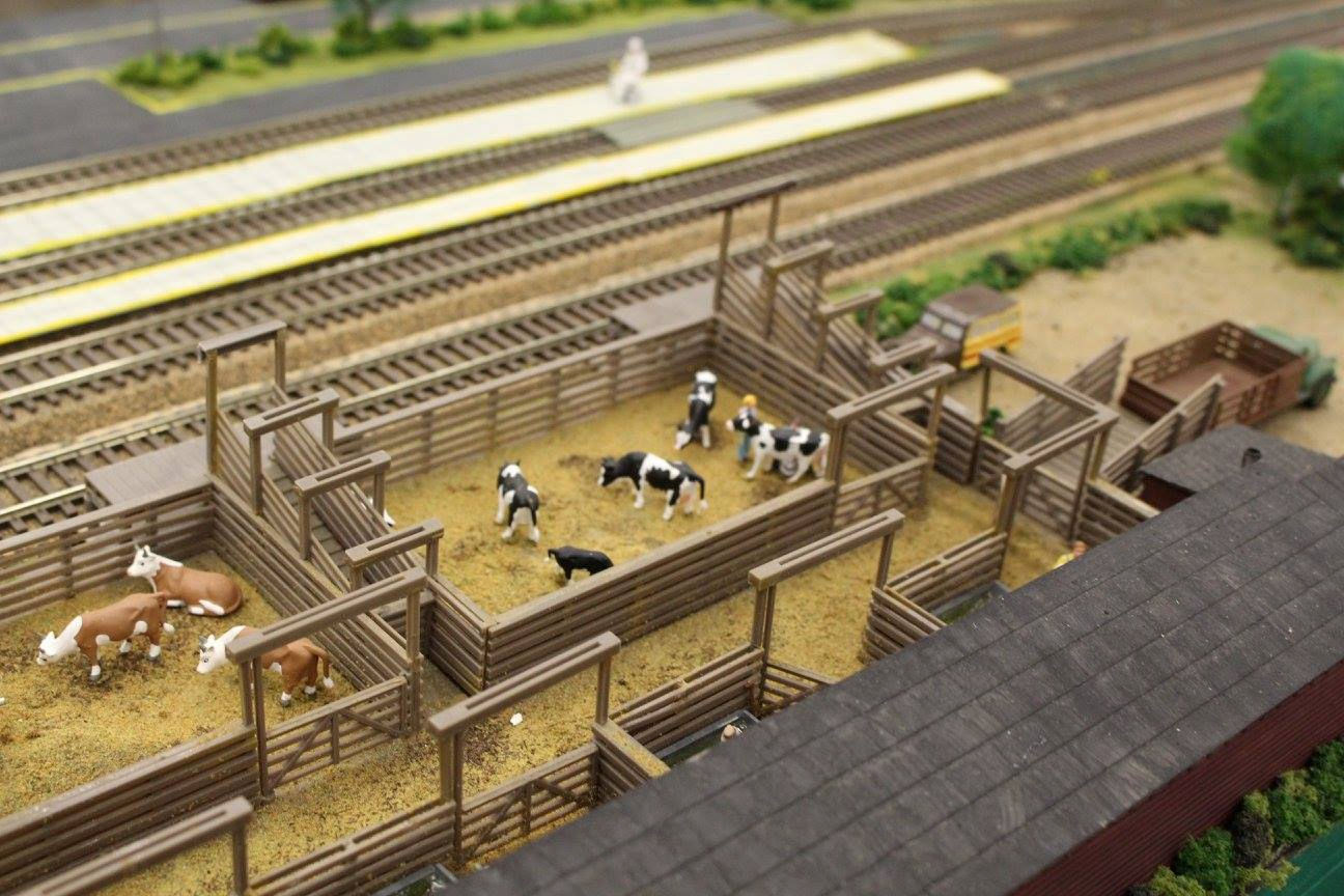 A model railway scene showing a fenced livestock pen with miniature cows and horses near train tracks and a platform.