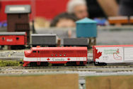 A model train passing through a dense forest landscape with tall trees and scenic views.