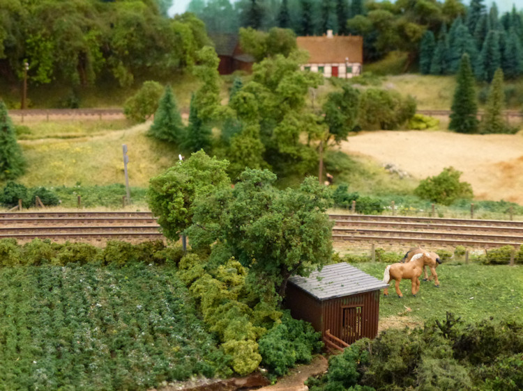 Model railway club HO Aalborg Denmark By KraftTrains.com. Go through the Model railway club H0 Aalborg in Aalborg Denmark and see what the Model railway club HO Aalborg Denmark has at www.KraftTrains.com .
Model jernbaneklub HO Aalborg Danmark Af KraftTrains.com. Gå gennem Model jernbaneklub H0 Aalborg i Aalborg Danmark og se, hvad Model jernbaneklub HO Aalborg Denmark har på www.KraftTrains.com. 
