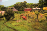 Model railway club HO Aalborg Denmark By KraftTrains.com. Go through the Model railway club H0 Aalborg in Aalborg Denmark and see what the Model railway club HO Aalborg Denmark has at www.KraftTrains.com .
Model jernbaneklub HO Aalborg Danmark Af KraftTrains.com. Gå gennem Model jernbaneklub H0 Aalborg i Aalborg Danmark og se, hvad Model jernbaneklub HO Aalborg Denmark har på www.KraftTrains.com. 
