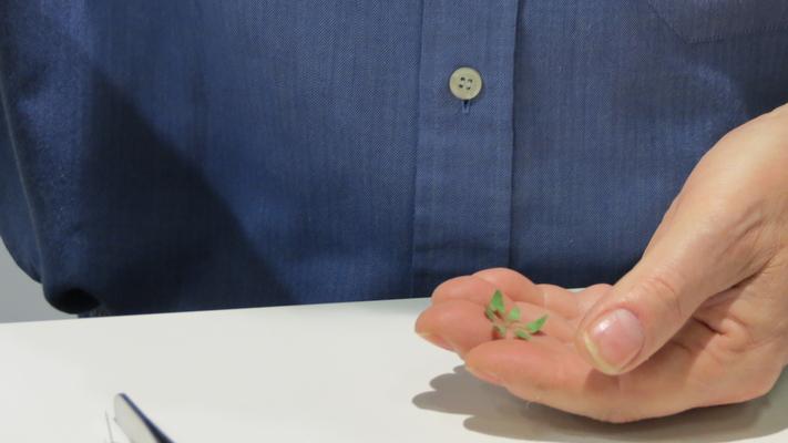 Model railroading clubs in the Hertogenbosch Netherlands Model Spoor Group's. Travel to Hertogenbosch in the Netherlands and go to the Model Spoor Group's train club and learn more about the Model Spoor Group's railroading clubs.