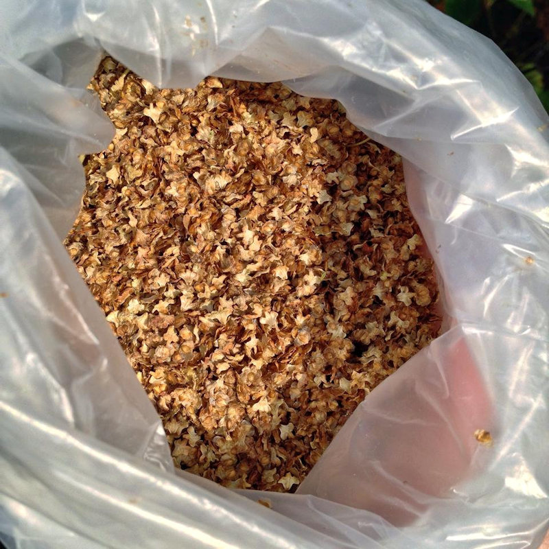 View the Trondhjem Modelljernbaneklubb TMJK (Trondhjem Model railway club) picture gallery in Trondheim Norway and, See what the Trondhjem Modelljernbaneklubb has to offer in model railroading. Learn about the TMJK History, watch videos, see club photos, and upcoming event at the Trondhjem Modelljernbaneklubb TMJK in Trondheim Norway.