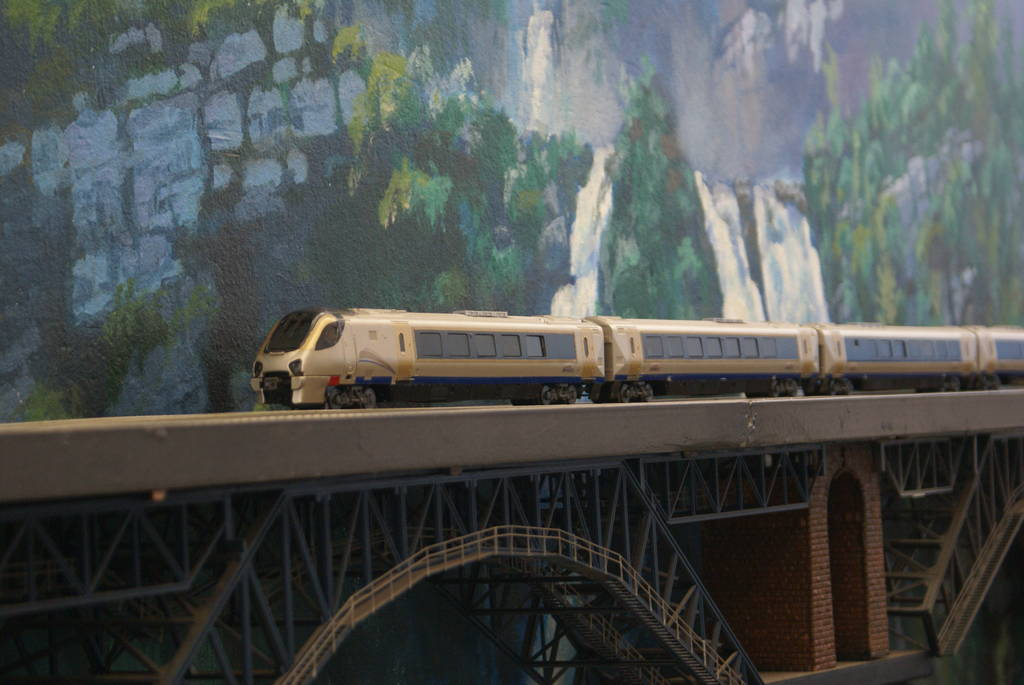 The Pretoria Model Train Club was founded in 1995 by a group of modellers who saw the need for an organised model railway club in Pretoria. After some discussions about the name, (PMT) Pretoria Model Train club was chosen. To Learn more about the (PMT) Pretoria Model Train club and other railroading clubs visit www.krafttrains.com. 