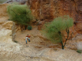 Phoenix Arizona Model Railroad Society usa.