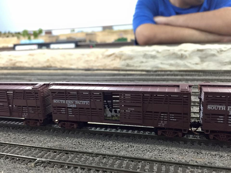 Welcome to the Los Angeles N-Scale Association, operators of East Valley Lines Model Railroad club located since 1979 in the Travel Town Museum at Griffith Los Angeles, California. View pitchers of the East Valley Lines N Scale Model Railroad club and see what they have done to their N scale layout. They operate one of the largest N-Scale layouts in the world. This is just a brief trip on the East Valley Lines' trackage. As you observe closely, there are lots of details to enjoy. This is truly a labor of love, involving countless hours, money and the talents of the many N-Scale modelers dedicated to the memory of great railroads. Brought to you to by www.krafttrains.com